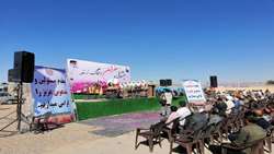 برای محصول زعفران شهرستان زرند 40تن کود یارانه ای توزیع شد